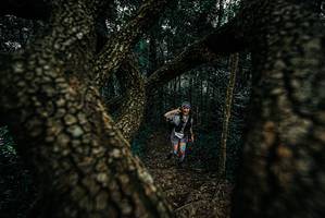 BIB: 
                            <button type="button" onclick="openModal(25679362)" class="btn btn-primary btn-sm float-right btn-popup" data-toggle="modal" data-target=".modal-high-quality">
                        <i class="fas fa-shopping-cart"></i> Add to Cart
                    </button>
                                            <button type="button" onclick="isThisMe(25679362, true)" class="btn btn-success btn-sm float-right btn-popup btn-isme hidden" data-toggle="tooltip" data-placement="bottom" title="นี่คือรูปของคุณใช่ไหม คลิกที่นี่เพื่อเอาเข้าอัลบั้ม">
                        <i class="fas fa-plus"></i> Add to album
                    </button>
                    <button type="button" onclick="isThisMe(25679362, false)" class="btn btn-warning btn-sm float-right btn-popup btn-isnotme hidden">
                        <i class="fas fa-ban"></i> Remove from album
                    </button>